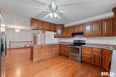 Tiny photo for 1610 WISCONSIN Street, Le Claire, IA 52753 (MLS # QC4265679)