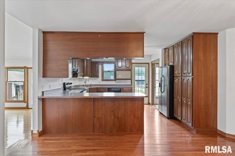 Tiny photo for 1610 WISCONSIN Street, Le Claire, IA 52753 (MLS # QC4265679)