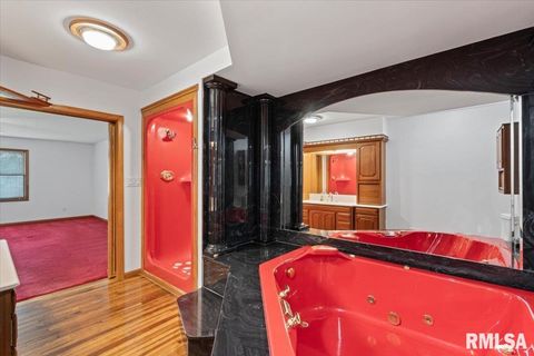 Tiny photo for 1610 WISCONSIN Street, Le Claire, IA 52753 (MLS # QC4265679)