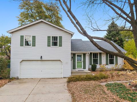 Tiny photo for 517 Sheffield Road, Naperville, IL 60565 (MLS # 12511953)