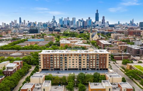 100 N Hermitage Avenue 508 Chicago IL 60612