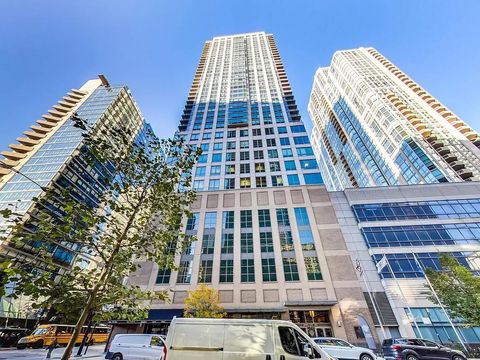 2 E Erie Street 2205 Chicago IL 60611