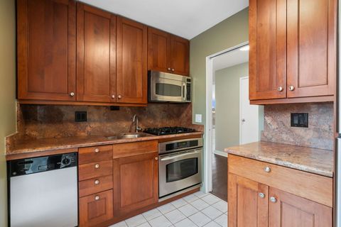 Tiny photo for 1555 N Dearborn Parkway #6E, Chicago, IL 60610 (MLS # 12573890)