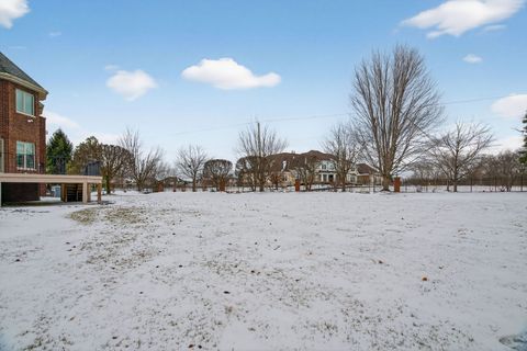 Tiny photo for 11024 Marilyn Terrace, Orland Park, IL 60467 (MLS # 12543708)