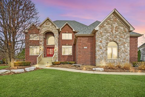 11024 Marilyn Terrace Orland Park IL 60467