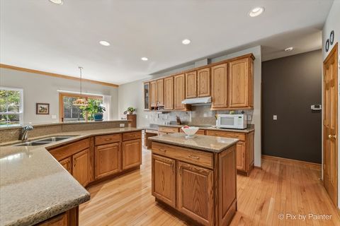 Tiny photo for 4051 Willow View Drive, Lake In The Hills, IL 60156 (MLS # 12463978)