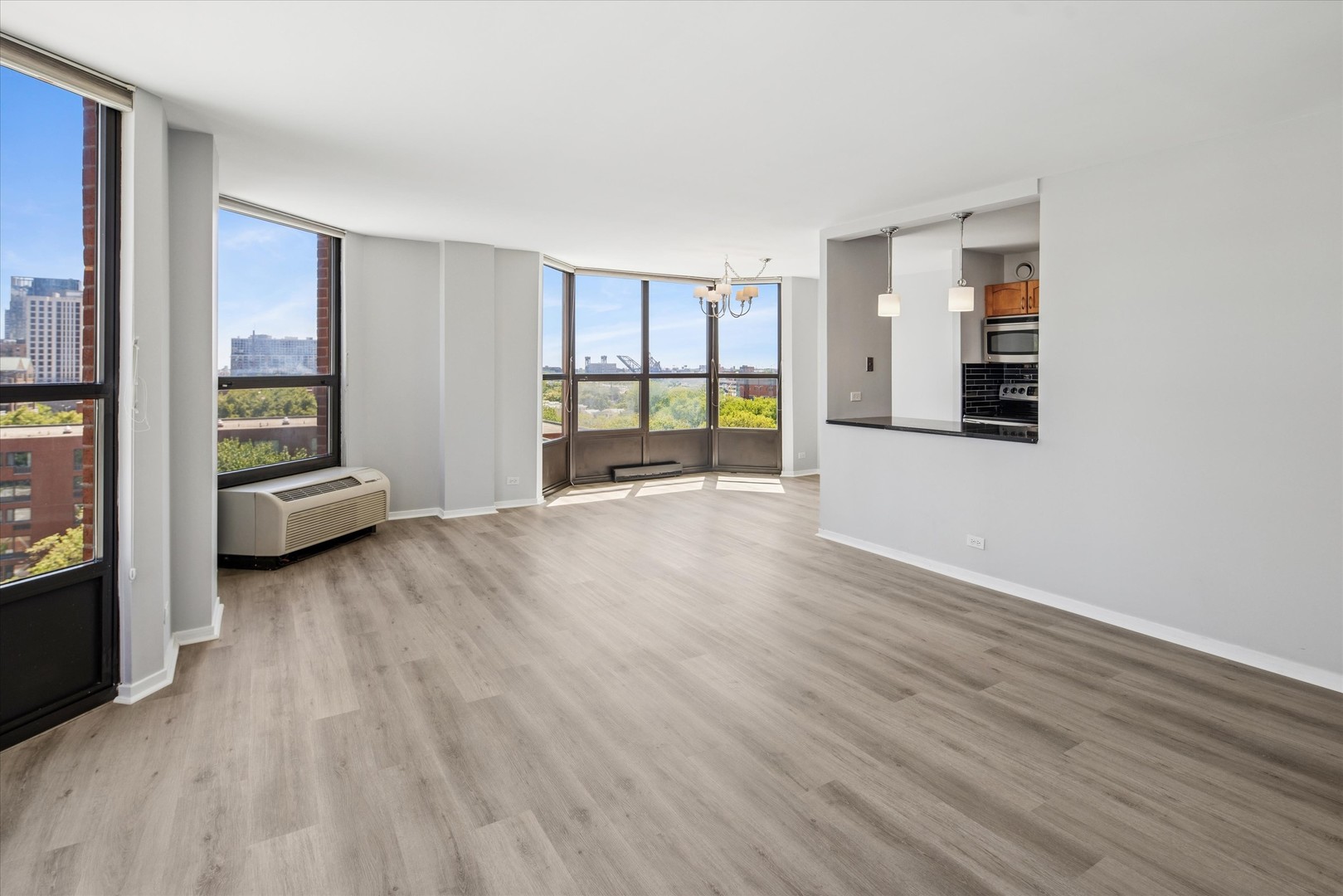 901 S Plymouth Court 702