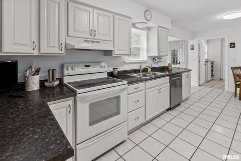 Tiny photo for 521 Marquis Avenue, Centralia, IL 62801 (MLS # EB459679)