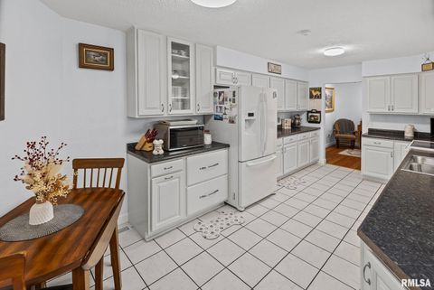 Tiny photo for 521 Marquis Avenue, Centralia, IL 62801 (MLS # EB459679)