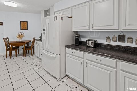 Tiny photo for 521 Marquis Avenue, Centralia, IL 62801 (MLS # EB459679)