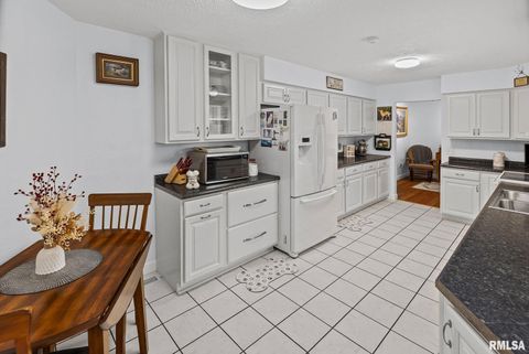 Tiny photo for 521 Marquis Avenue, Centralia, IL 62801 (MLS # EB459679)