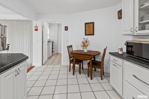 Tiny photo for 521 Marquis Avenue, Centralia, IL 62801 (MLS # EB459679)