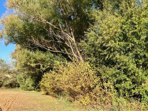 Tiny photo for 7561 W Judson Road, Polo, IL 61064 (MLS # 12506182)