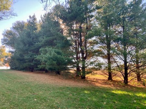 Tiny photo for 7561 W Judson Road, Polo, IL 61064 (MLS # 12506182)