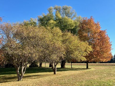 Tiny photo for 7561 W Judson Road, Polo, IL 61064 (MLS # 12506182)