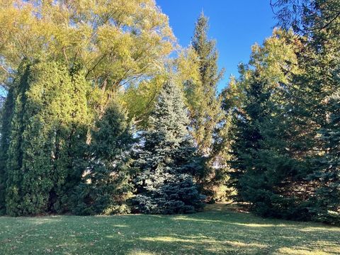 Tiny photo for 7561 W Judson Road, Polo, IL 61064 (MLS # 12506182)