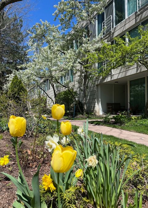 Photo of 3451 Harrison Street, Evanston, IL 60201 (MLS # 12515583)