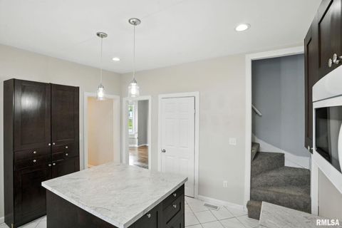 Tiny photo for 421 16TH Avenue, Moline, IL 61265 (MLS # QC4269937)