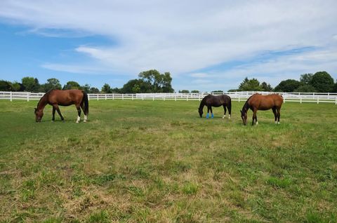 Tiny photo for St. Charles, IL 60175 (MLS # 12571142)