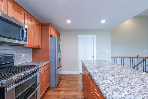 Tiny photo for 542 Peacock Place, Manteno, IL 60950 (MLS # 12664777)