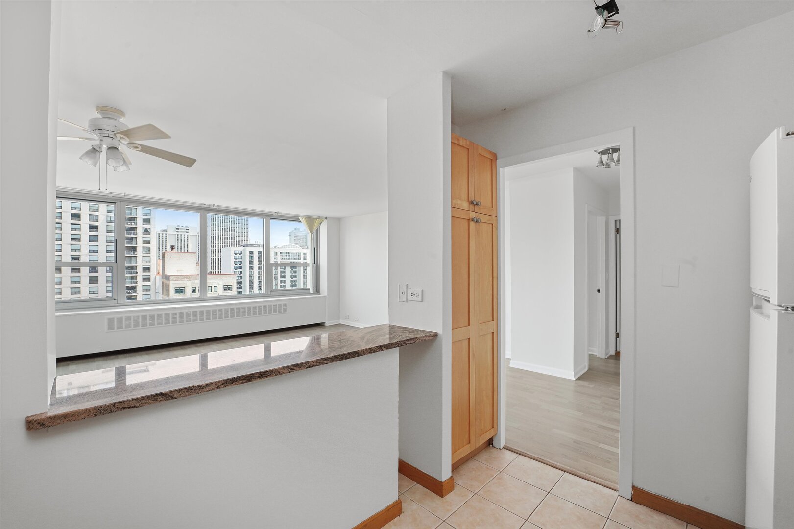 1255 N Sandburg Terrace 1706