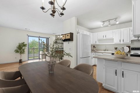 Tiny photo for 1249 48TH Avenue #18, East Moline, IL 61244 (MLS # QC4268147)