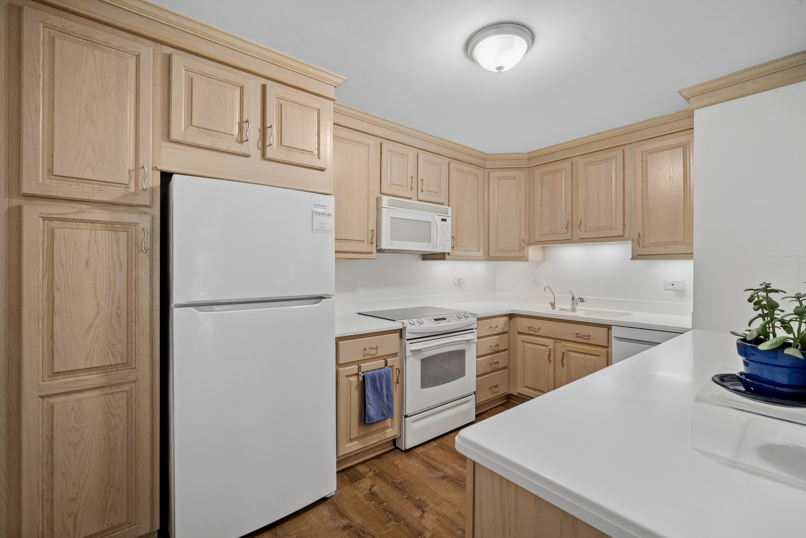 250 Ridge Avenue 1C