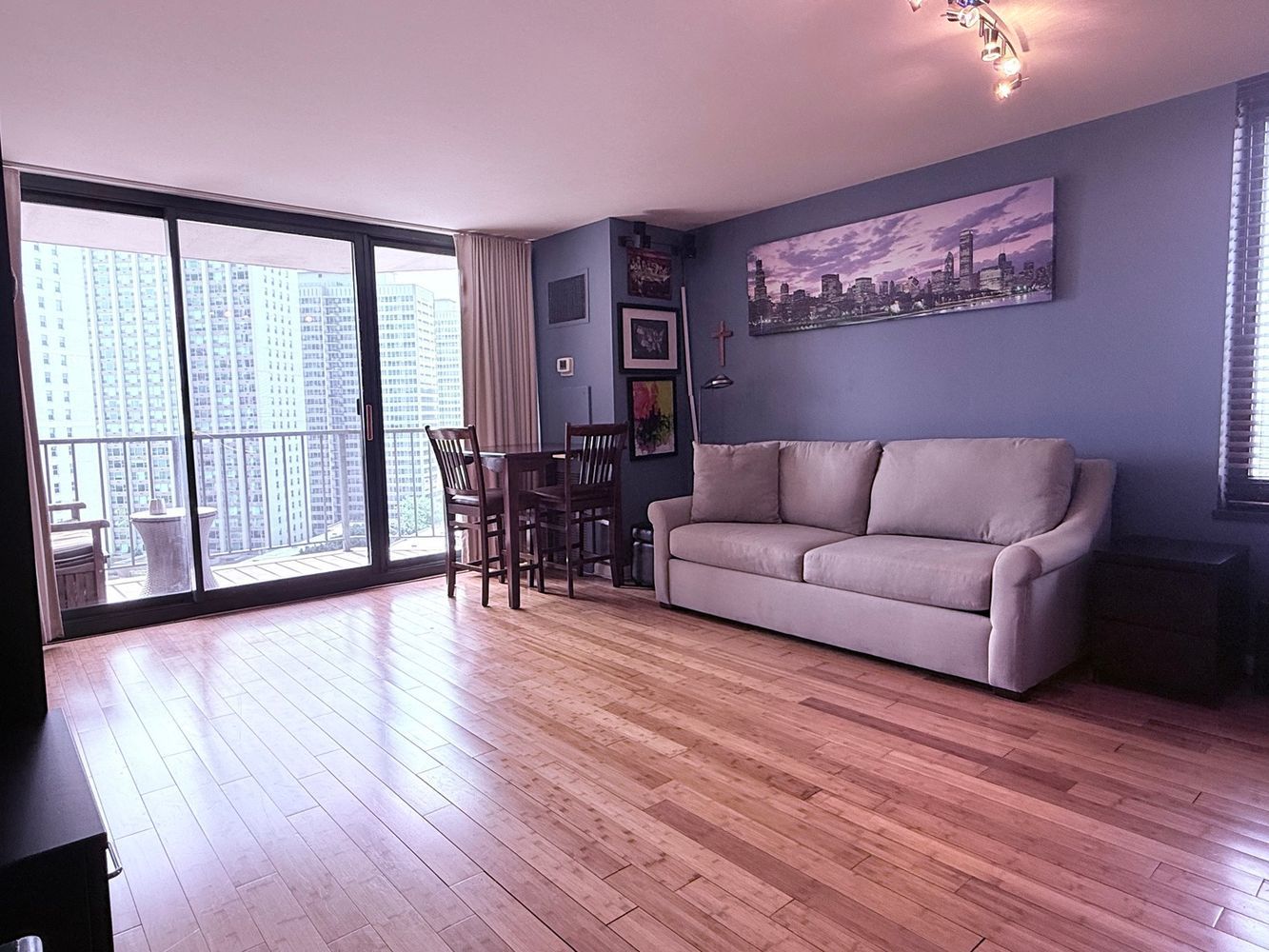 3660 N Lake Shore Drive 1309