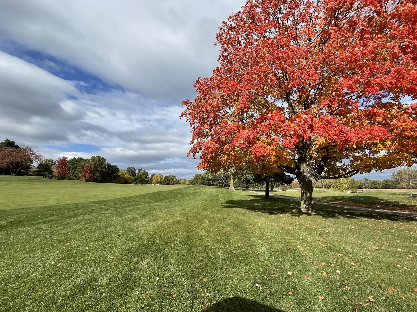 23984 N Red Oak Court