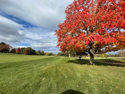 Tiny photo for 23984 N Red Oak Court, Kildeer, IL 60047 (MLS # 12562937)