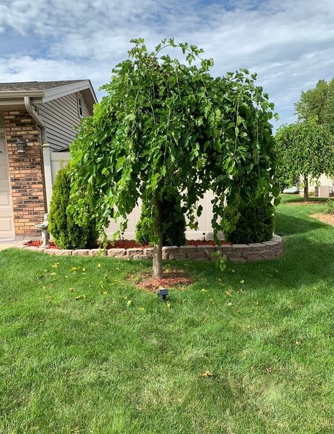 Tiny photo for 856 Quail Drive, Bradley, IL 60915 (MLS # 12616098)