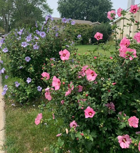 Tiny photo for 856 Quail Drive, Bradley, IL 60915 (MLS # 12616098)