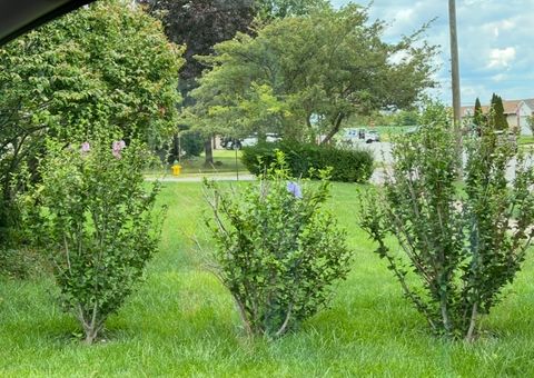 Tiny photo for 856 Quail Drive, Bradley, IL 60915 (MLS # 12616098)