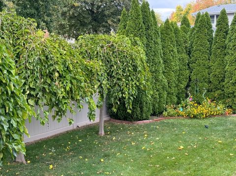 Tiny photo for 856 Quail Drive, Bradley, IL 60915 (MLS # 12616098)