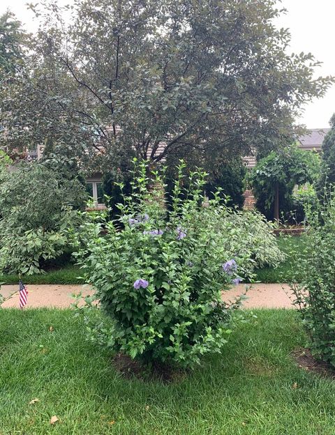 Tiny photo for 856 Quail Drive, Bradley, IL 60915 (MLS # 12616098)