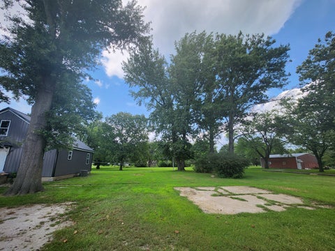 Tiny photo for 1111 New Street, Pinckneyville, IL 62274 (MLS # 12711764)