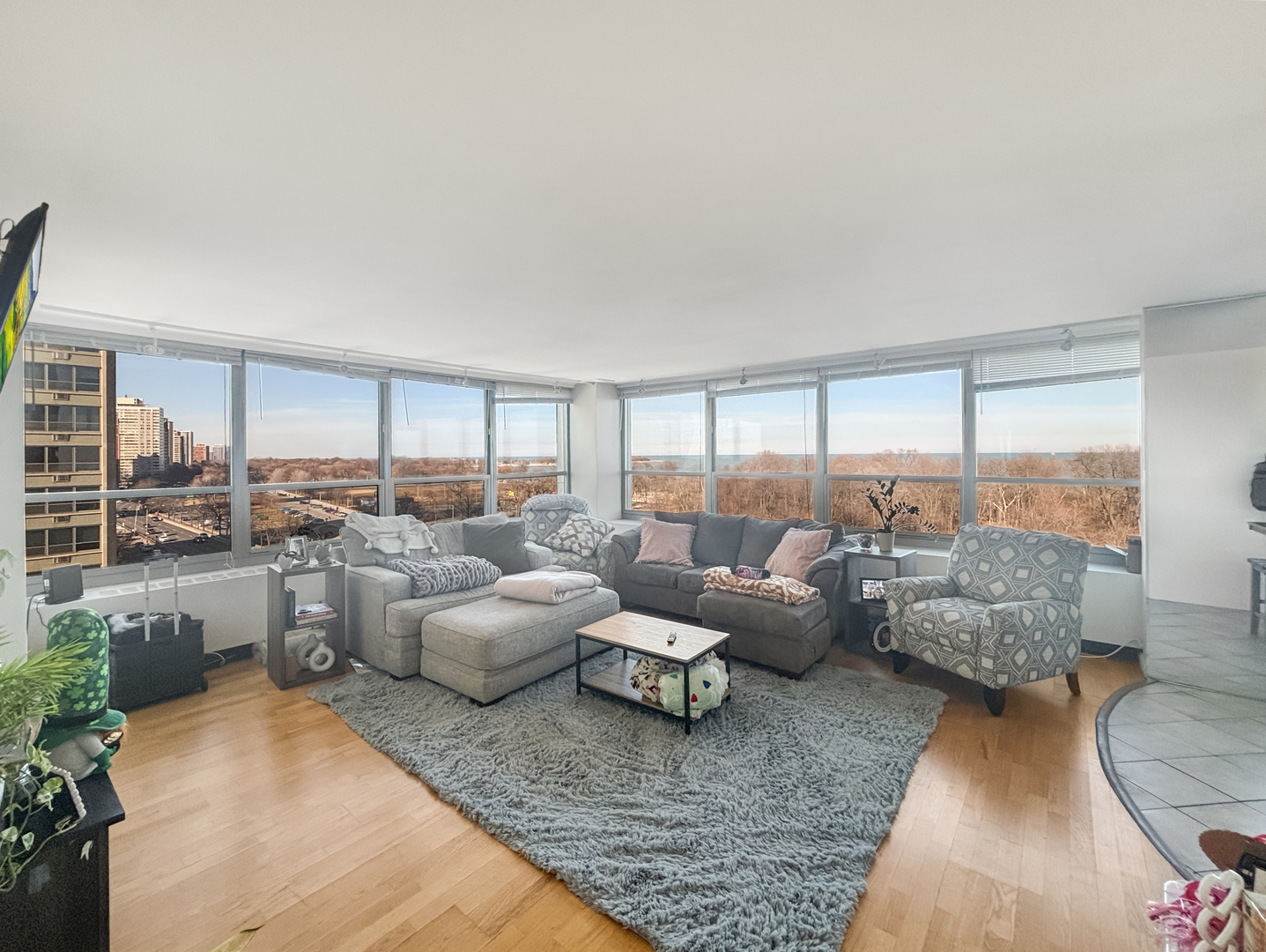 3550 N Lake Shore Drive 901