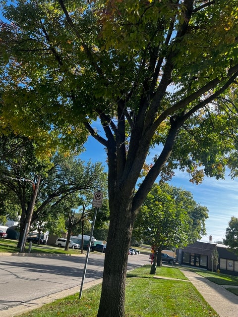 Tiny photo for 4942 Douglas Road #206, Downers Grove, IL 60515 (MLS # 12776284)