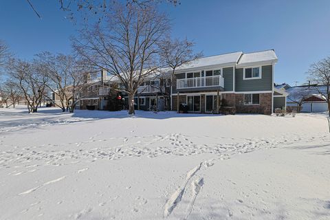 Tiny photo for 600 Stone Circle Court #W1, Schaumburg, IL 60194 (MLS # 12552233)