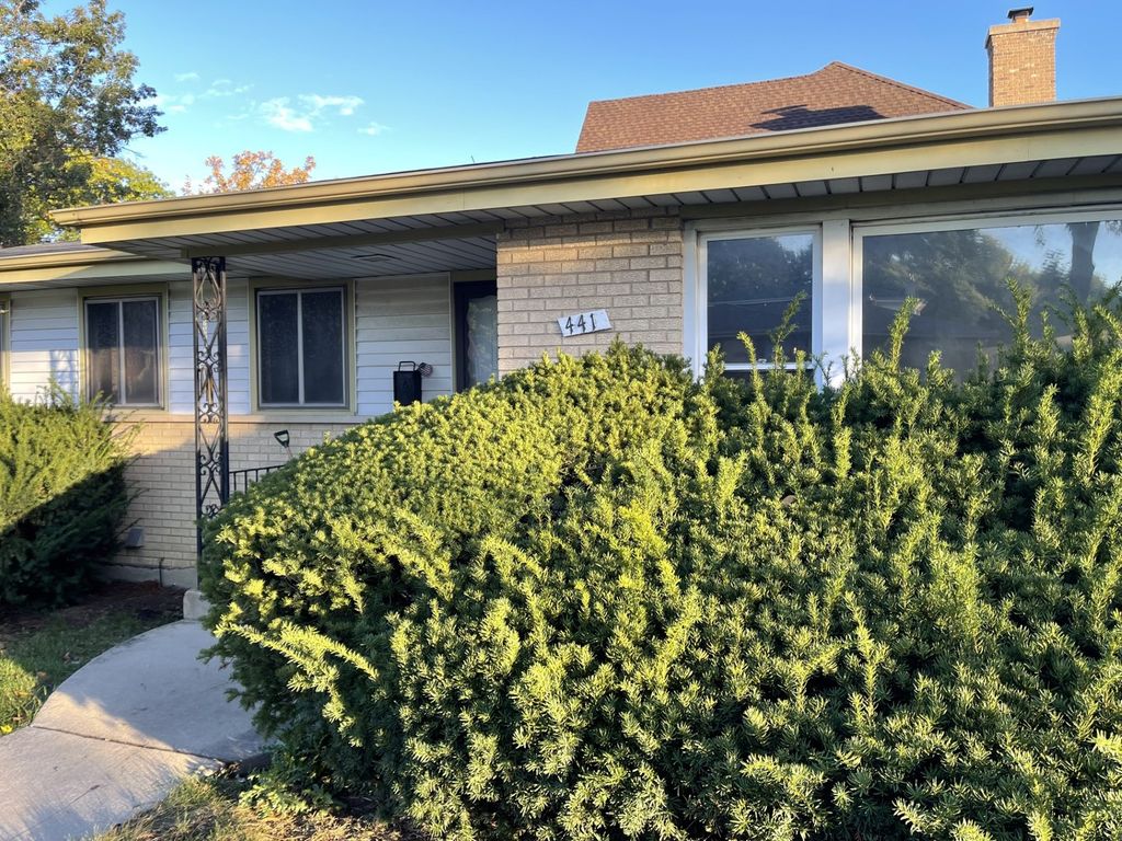 Photo for 441 E adams Street, Elmhurst, IL 60126 (MLS # 12501317)