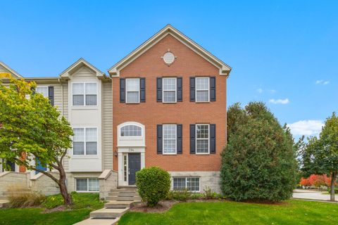 Photo of 294 Comstock Drive #294, Elgin, IL 60124 (MLS # 12552820)