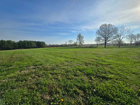 Tiny photo for 23750 N Il Highway 37 Highway, Dix, IL 62830 (MLS # 12620860)