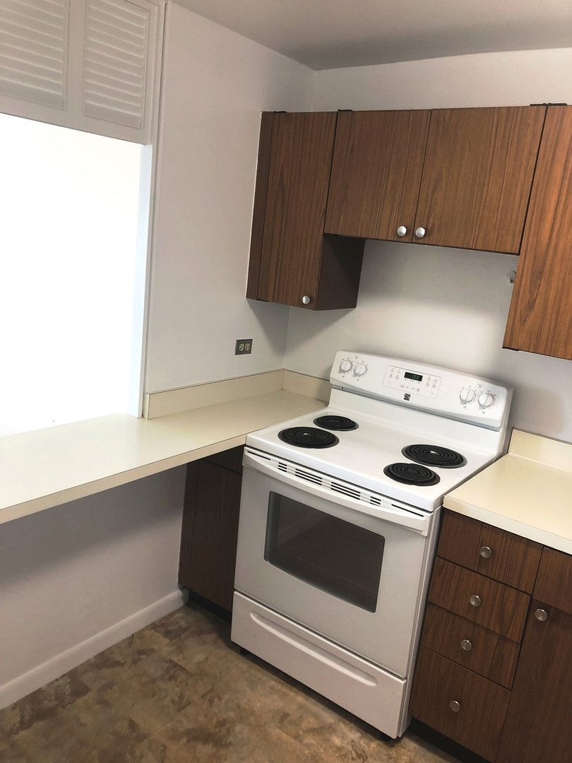 1560 N Sandburg Terrace 3709