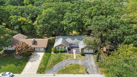 A home in Palos Heights