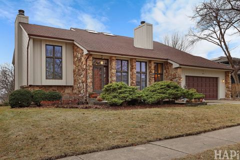 1221 Golf View Drive Woodridge IL 60517
