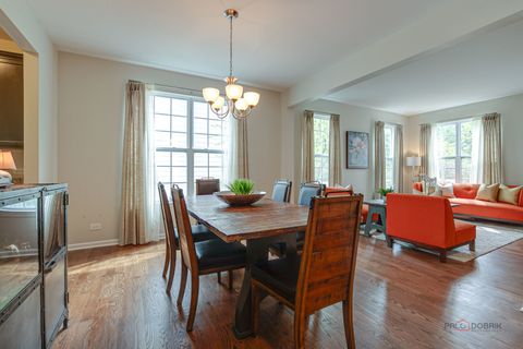 Tiny photo for 20463 N Joshua Court, Deer Park, IL 60010 (MLS # 12631768)