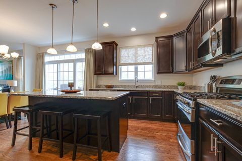 Tiny photo for 20463 N Joshua Court, Deer Park, IL 60010 (MLS # 12631768)