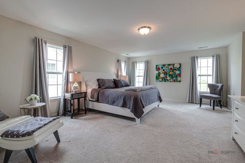 Tiny photo for 20463 N Joshua Court, Deer Park, IL 60010 (MLS # 12631768)