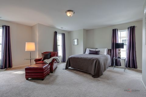 Tiny photo for 20463 N Joshua Court, Deer Park, IL 60010 (MLS # 12631768)