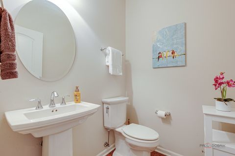 Tiny photo for 20463 N Joshua Court, Deer Park, IL 60010 (MLS # 12631768)